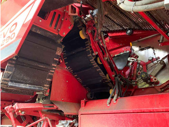 Cosechadora Grimme EVO 290 Airsep: foto 4