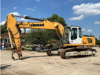 Excavadora de cadenas LIEBHERR R 924