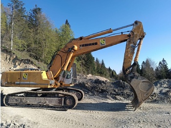 Excavadora de cadenas LIEBHERR R 954